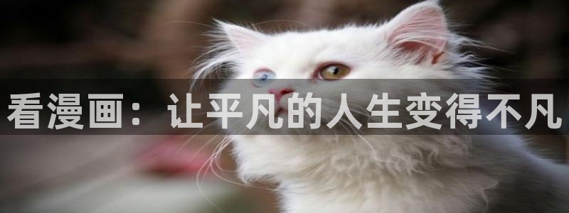 妖精动漫汗汗漫画：看漫画：让平凡的人生变得不凡