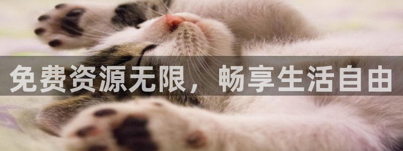 汗汗漫画官网 漫画：免费资源无限，畅享生活自由