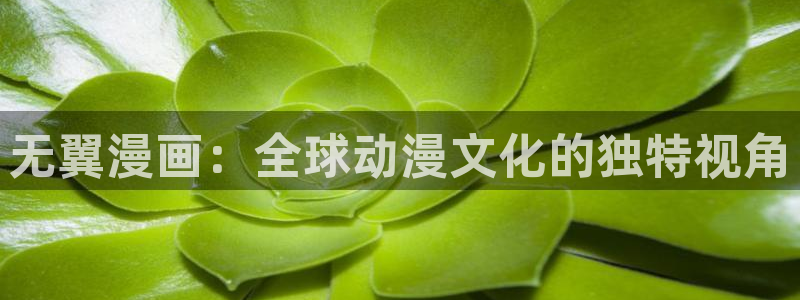 汗汗漫画汗汗漫画：无翼漫画：全球动漫文化的独特视角